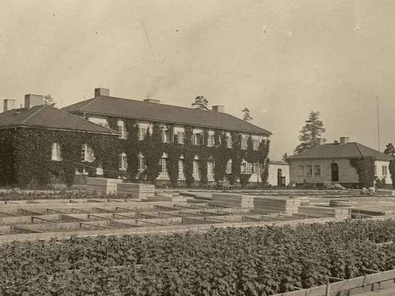 Historiske Oksenøya bruk